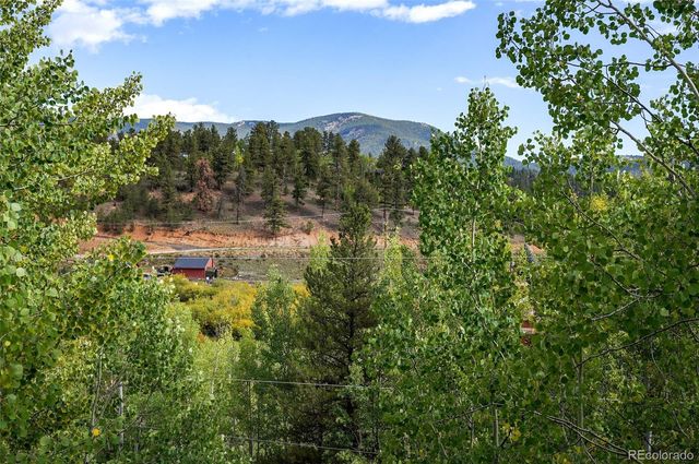 72 Stucke Road, Bailey, CO 80421