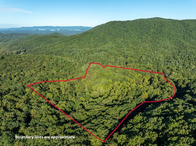 Lot 3 Wilderness Way, Ellijay, GA 30536