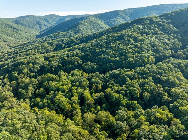Lot 3 Wilderness Way, Ellijay, GA 30536