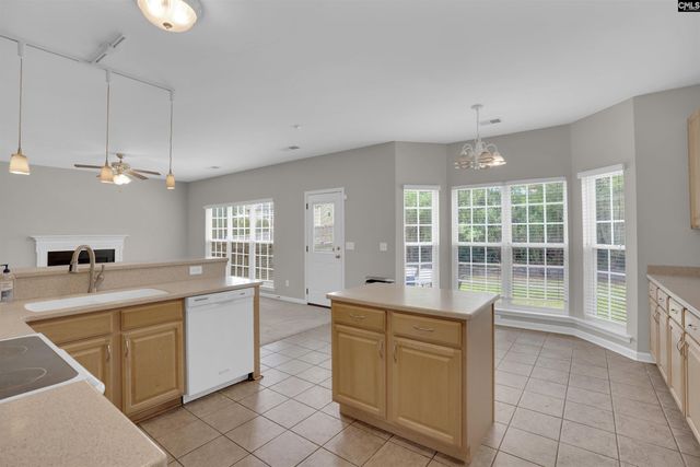 140 Longtown Place Drive, Columbia, SC 29229