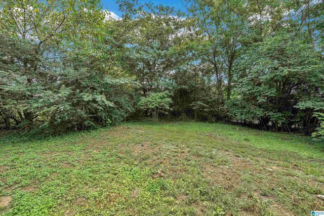 7436 CANADA AVENUE, Birmingham, AL 35224
