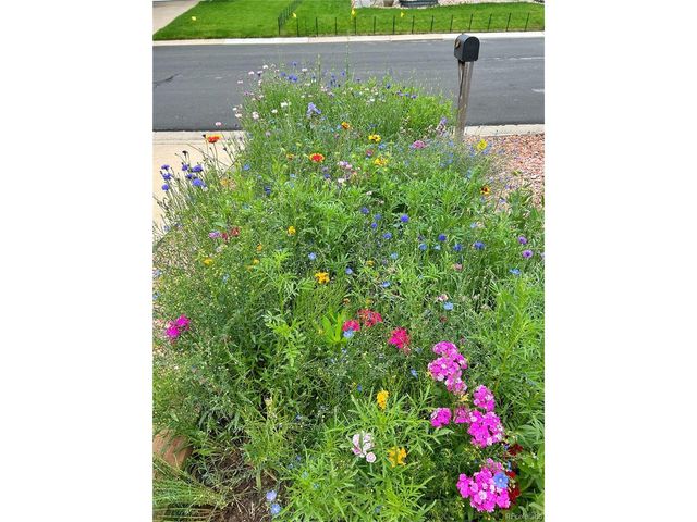 9312 Kendall St, Westminster, CO 80031