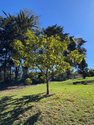 1530 b Kamehameiki St, Kula, HI 96790