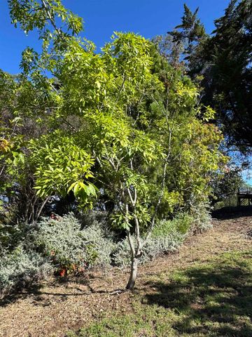 1530 b Kamehameiki St, Kula, HI 96790