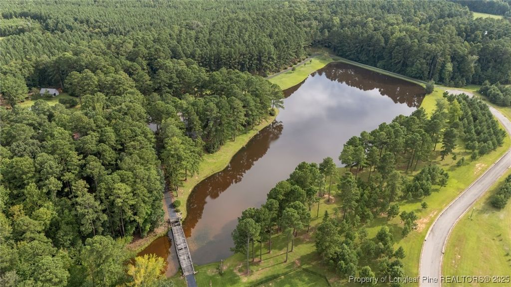 105 Waterfall Lane, Sanford, NC 27330 — photo 10