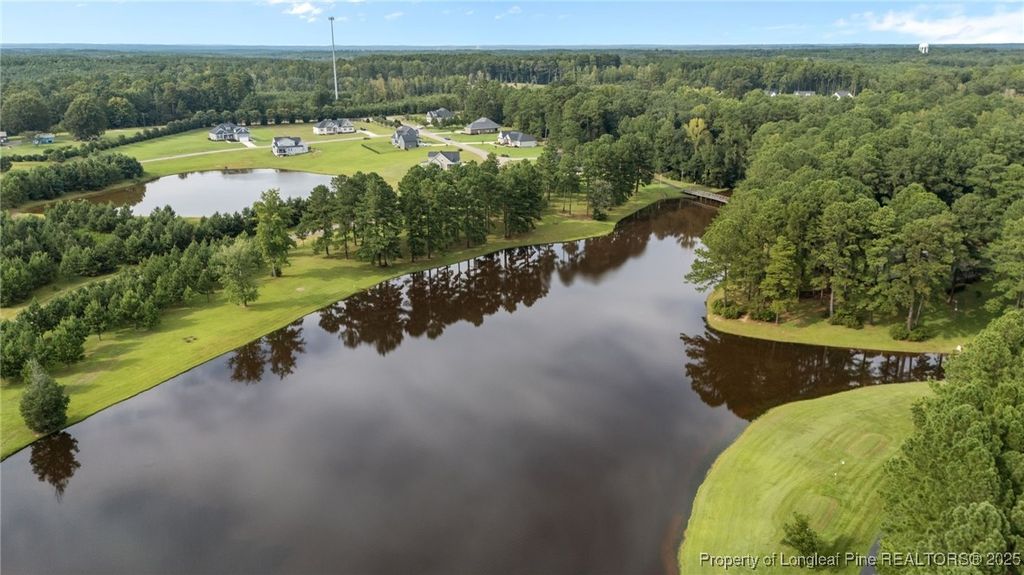 105 Waterfall Lane, Sanford, NC 27330 — photo 12