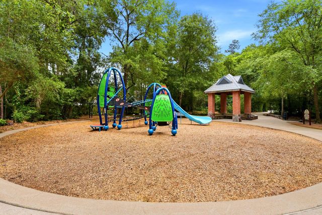 38 Dovewing Place, The Woodlands, TX 77382