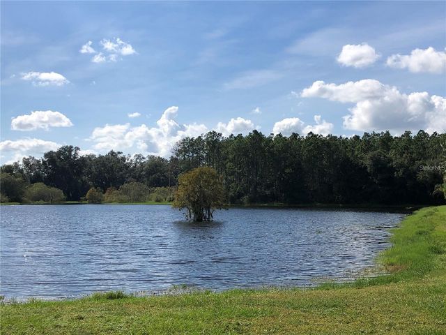 30302 DOUBLE DRIVE, Wesley Chapel, FL 33545