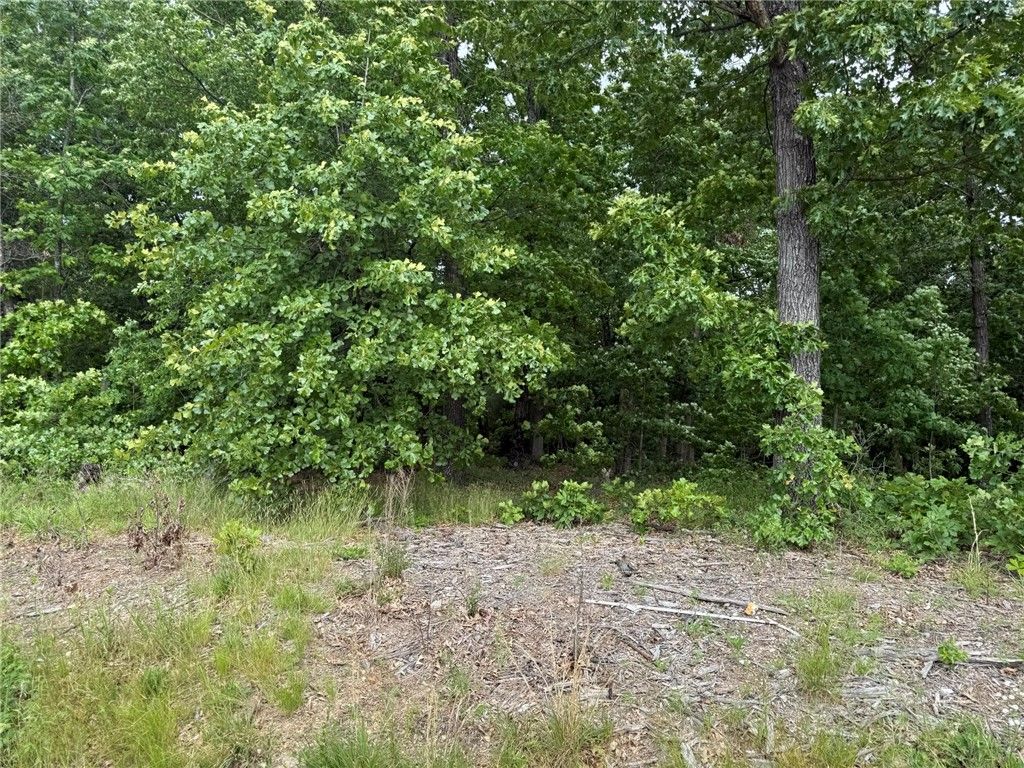 TBD Hythe Lane, Bella Vista, AR 72714