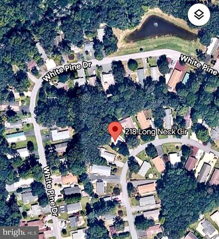 218 LONG NECK CIR, Millsboro, DE 19966