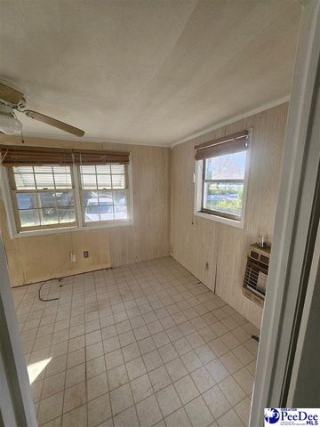 1104 W 12th Ave, Lake View, SC 29563