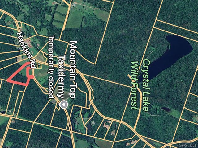 292 County Road 93, Roscoe, NY 12776