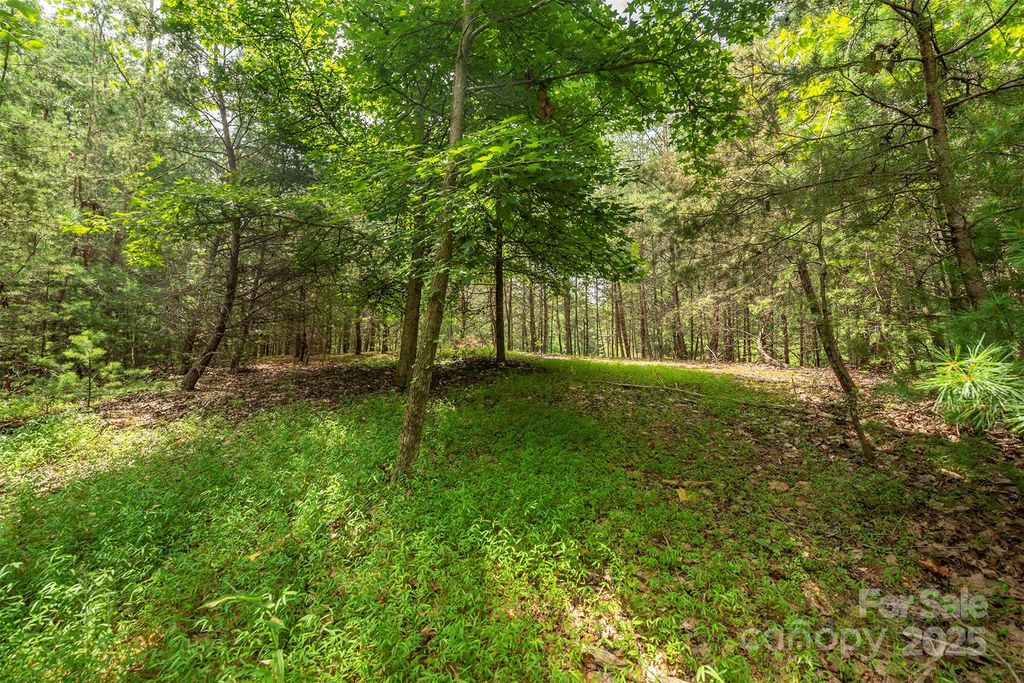 LOT 46 Black Forest Drive, Marion, NC 28752