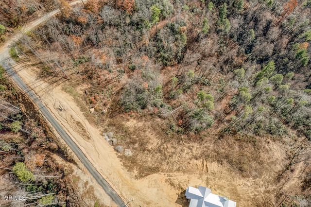 169 Teaberry Road, Roan Mountain, TN 37687