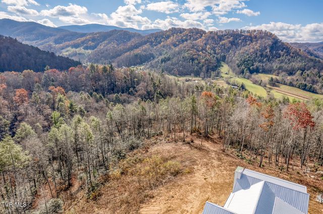 169 Teaberry Road, Roan Mountain, TN 37687