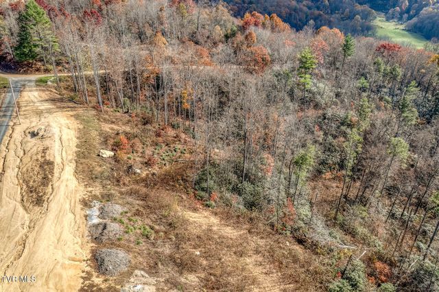 169 Teaberry Road, Roan Mountain, TN 37687