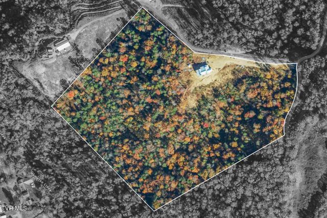 169 Teaberry Road, Roan Mountain, TN 37687