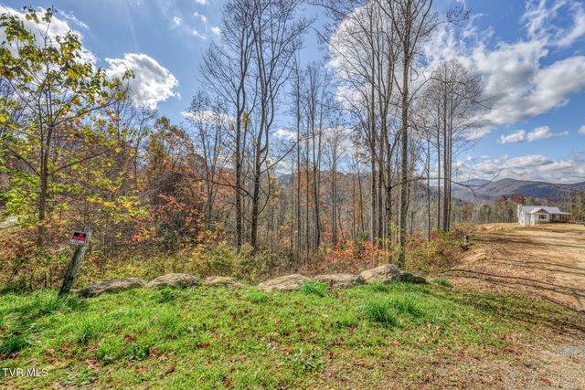 169 Teaberry Road, Roan Mountain, TN 37687