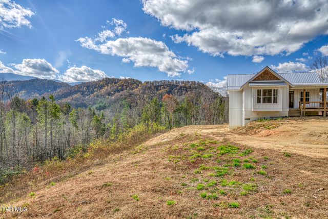 169 Teaberry Road, Roan Mountain, TN 37687
