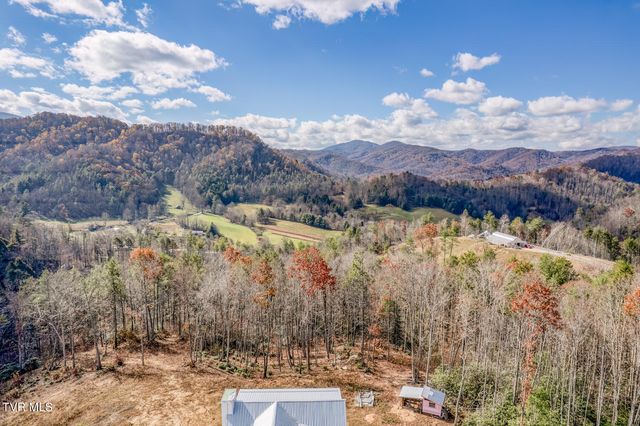 169 Teaberry Road, Roan Mountain, TN 37687