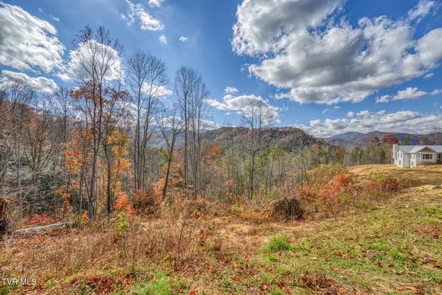 169 Teaberry Road, Roan Mountain, TN 37687