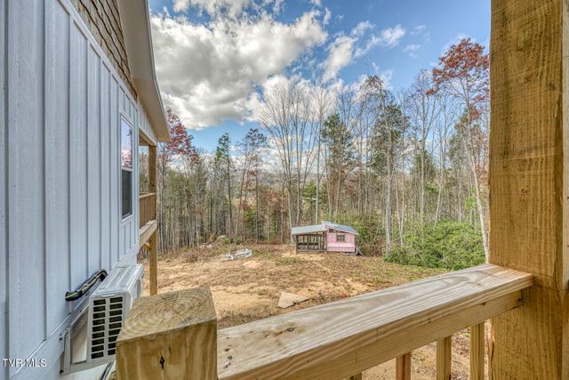 169 Teaberry Road, Roan Mountain, TN 37687