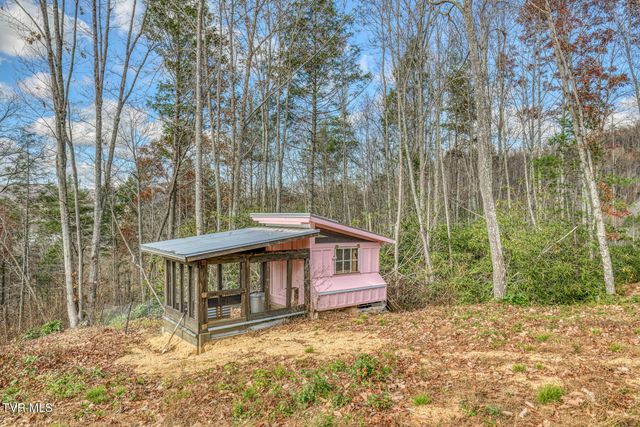 169 Teaberry Road, Roan Mountain, TN 37687