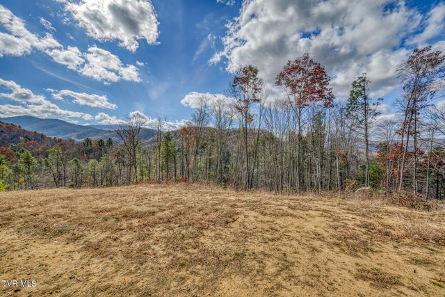 169 Teaberry Road, Roan Mountain, TN 37687