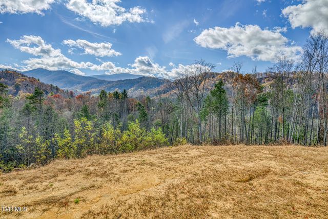 169 Teaberry Road, Roan Mountain, TN 37687