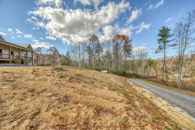 169 Teaberry Road, Roan Mountain, TN 37687