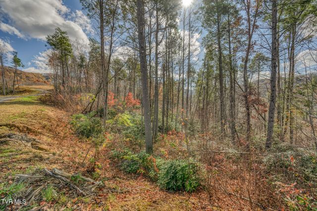 169 Teaberry Road, Roan Mountain, TN 37687