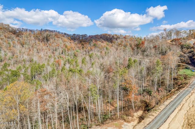 169 Teaberry Road, Roan Mountain, TN 37687