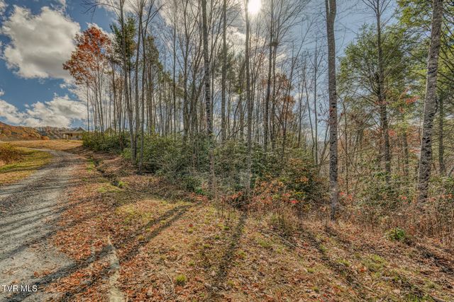 169 Teaberry Road, Roan Mountain, TN 37687