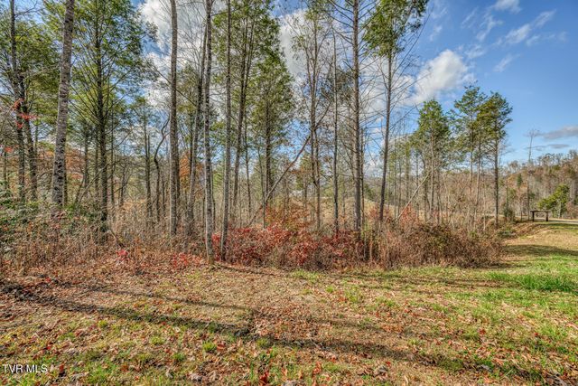 169 Teaberry Road, Roan Mountain, TN 37687