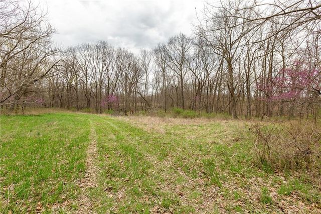 14400 Stringtown Court, Lake Lotawana, MO 64086