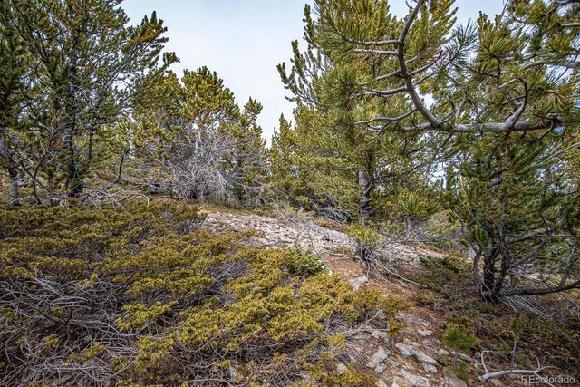 Lot 530 Hilltop Road, Idaho Springs, CO 80452