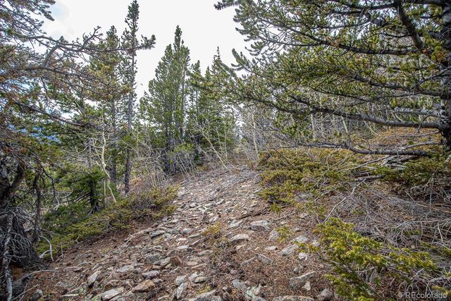 Lot 530 Hilltop Road, Idaho Springs, CO 80452