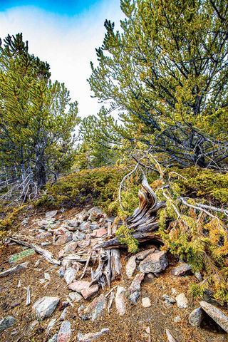 Lot 530 Hilltop Road, Idaho Springs, CO 80452