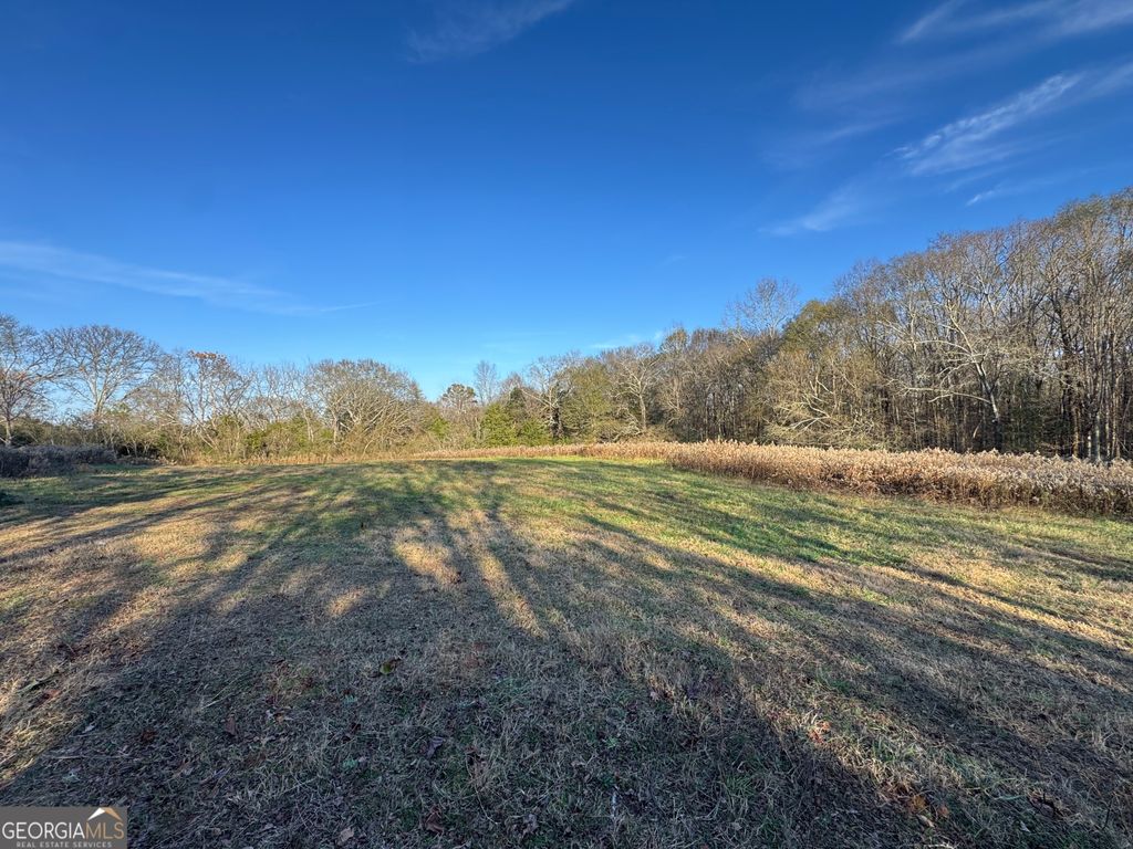 301 Collins Dudley Road, Danielsville, GA 30633 — exterior