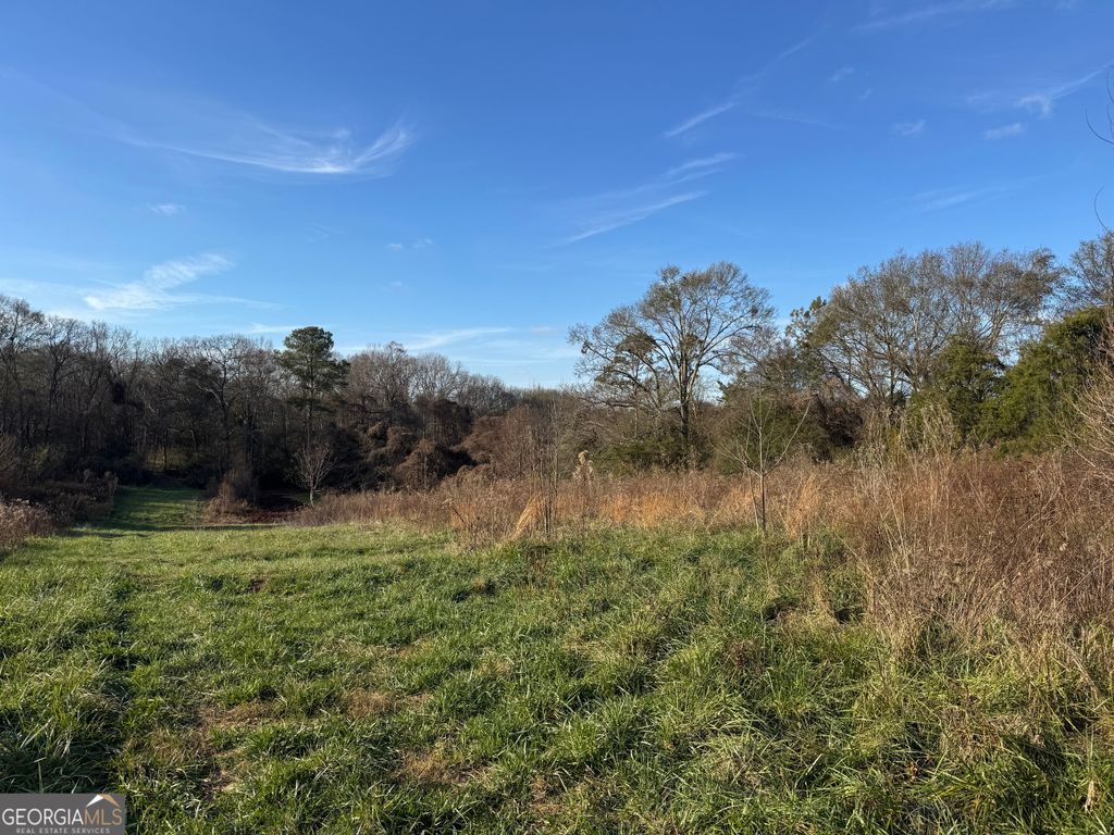 301 Collins Dudley Road, Danielsville, GA 30633 — photo 4