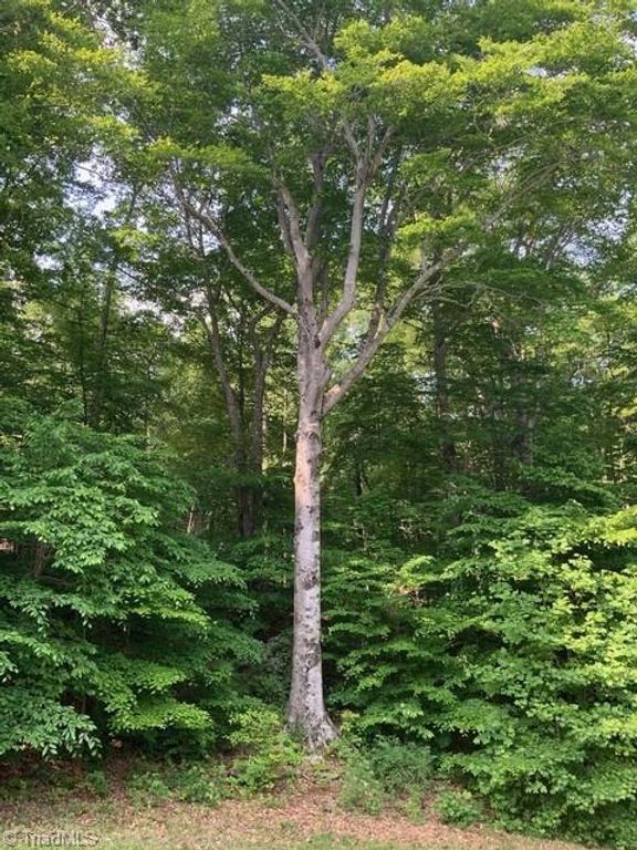 7634 Whisper Hollow Lane, Lewisville, NC 27023