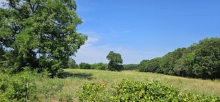 1651 Desvoignes Road, Denison, TX 75021