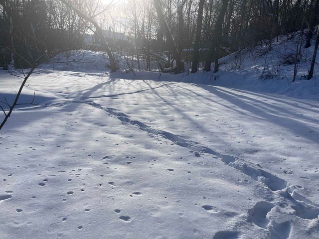 90 Brook Street, Barre City, VT 05641