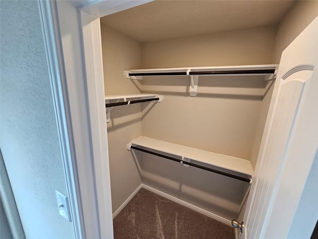 25609 Aster Trail, Magnolia, TX 77354