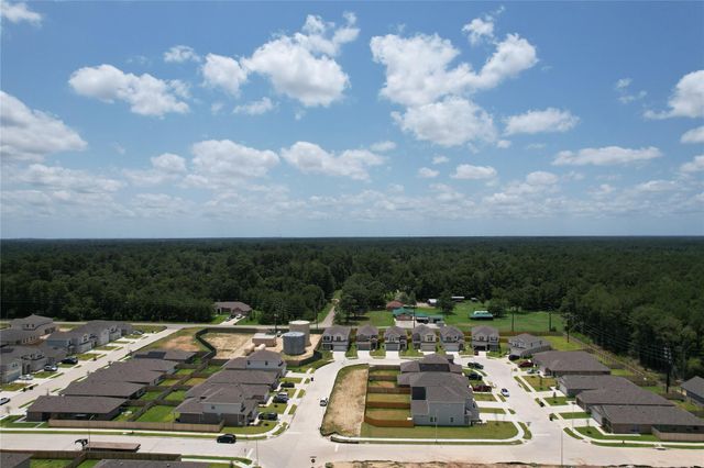 25609 Aster Trail, Magnolia, TX 77354