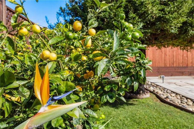 1540 7th, Los Osos, CA 93402