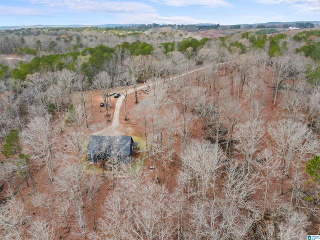 463 WILDBERRY LANE, Newell, AL 36280