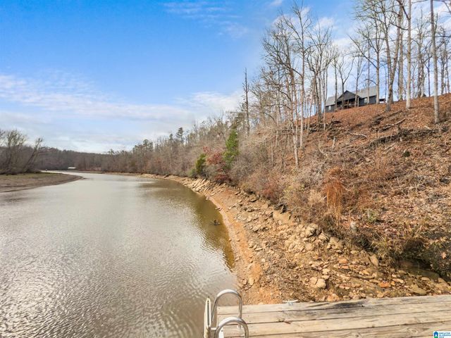 463 WILDBERRY LANE, Newell, AL 36280