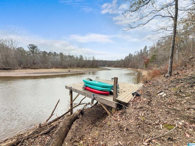 463 WILDBERRY LANE, Newell, AL 36280