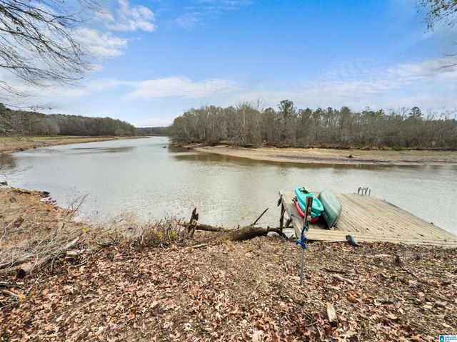 463 WILDBERRY LANE, Newell, AL 36280